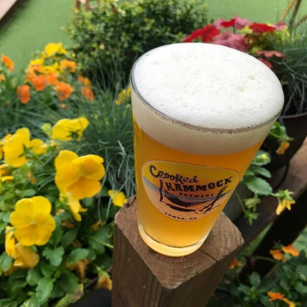 Land Adventure: Delmarva Discovery Tours Beer Garden Experience