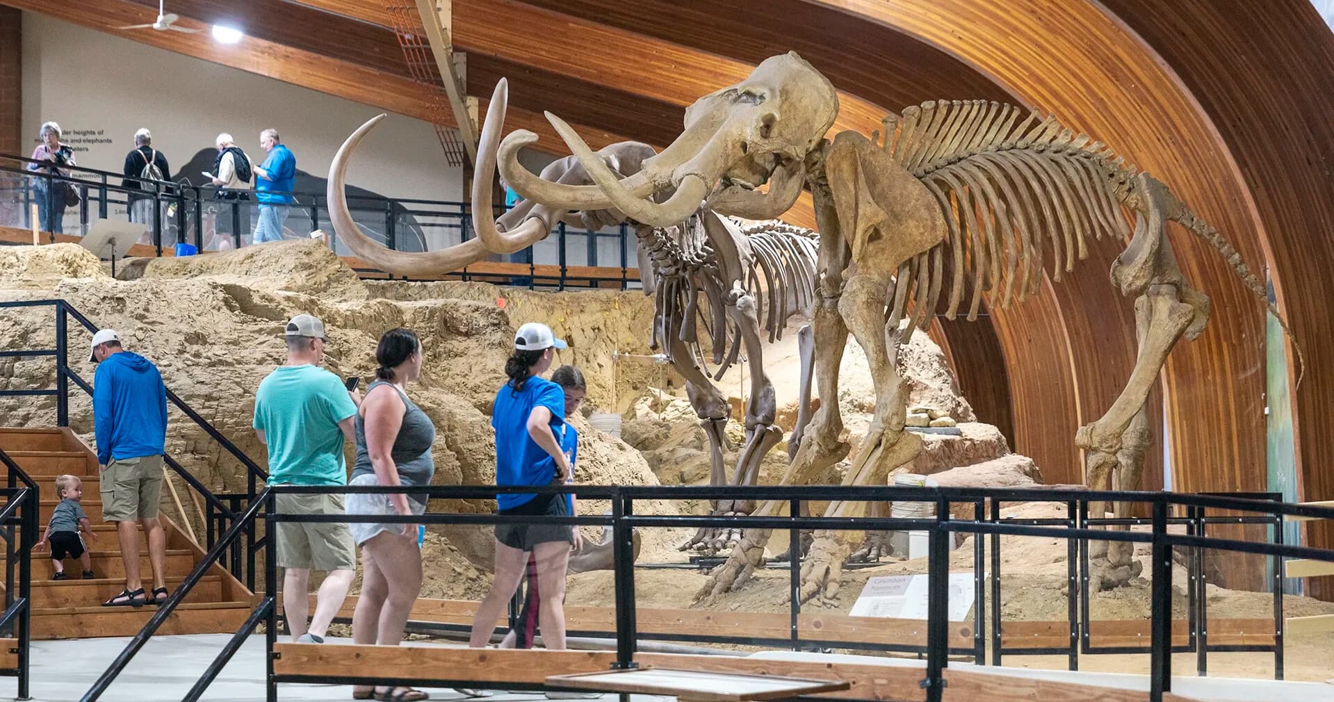 Step Inside the Mammoth Site — See Ice Age Giants in Hot Springs, SD
