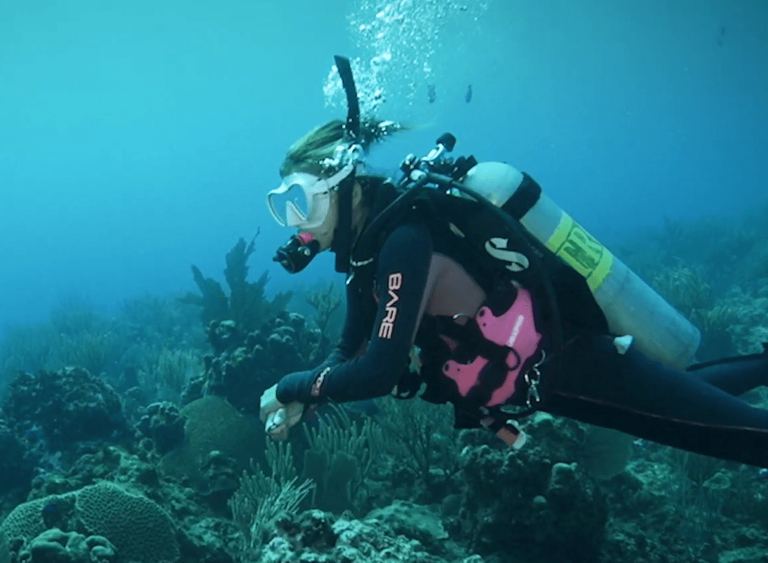 Diving Certification & Underwater Adventure at Hawaii Dive Center