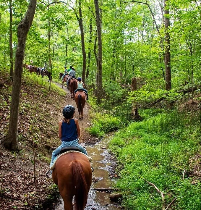 Half-Day Shenandoah Horseback Ride into George Washington National Forest
