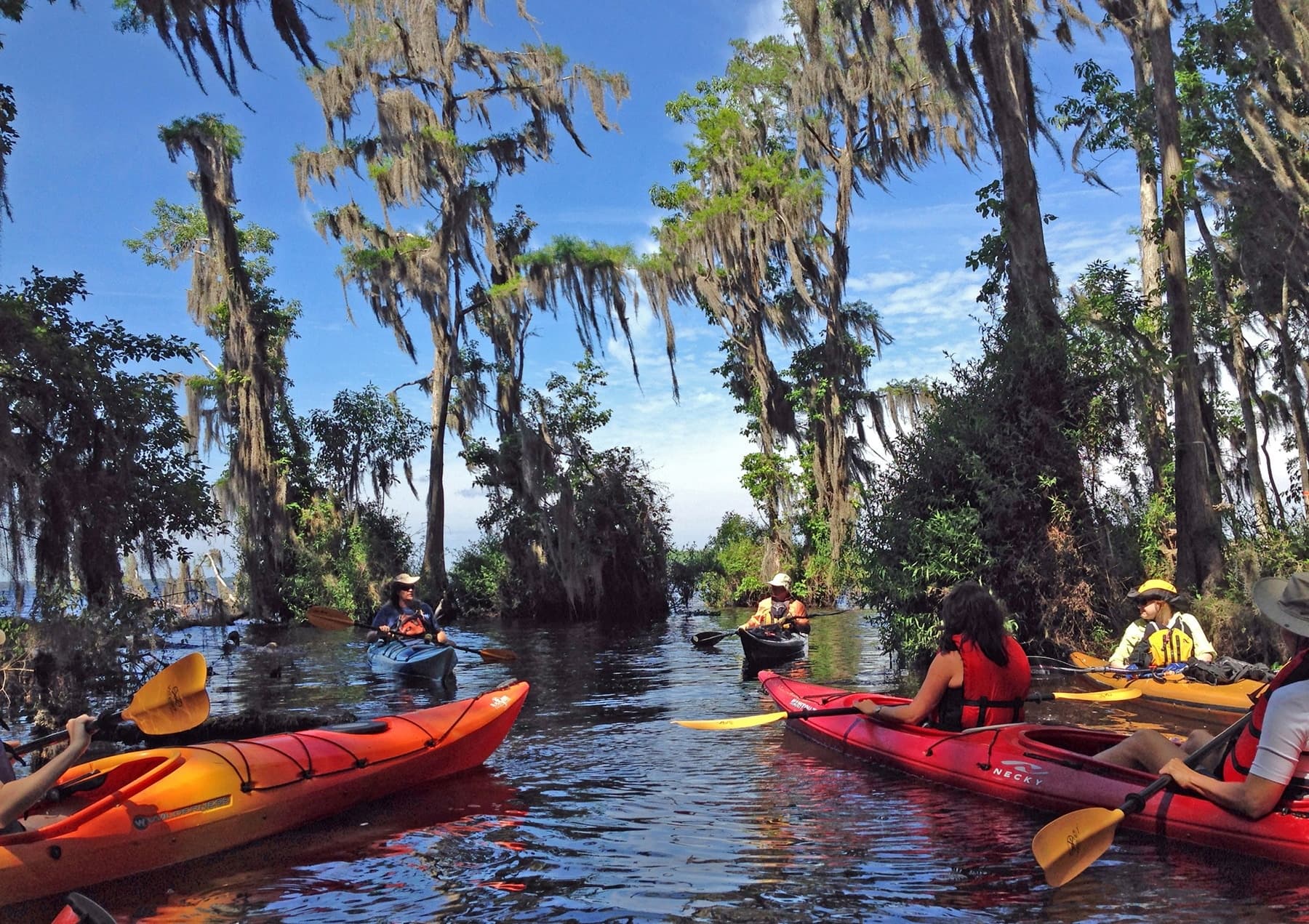 Exploring Moses Creek Estuary: A Unique Paddle Adventure in St. Augustine, Florida