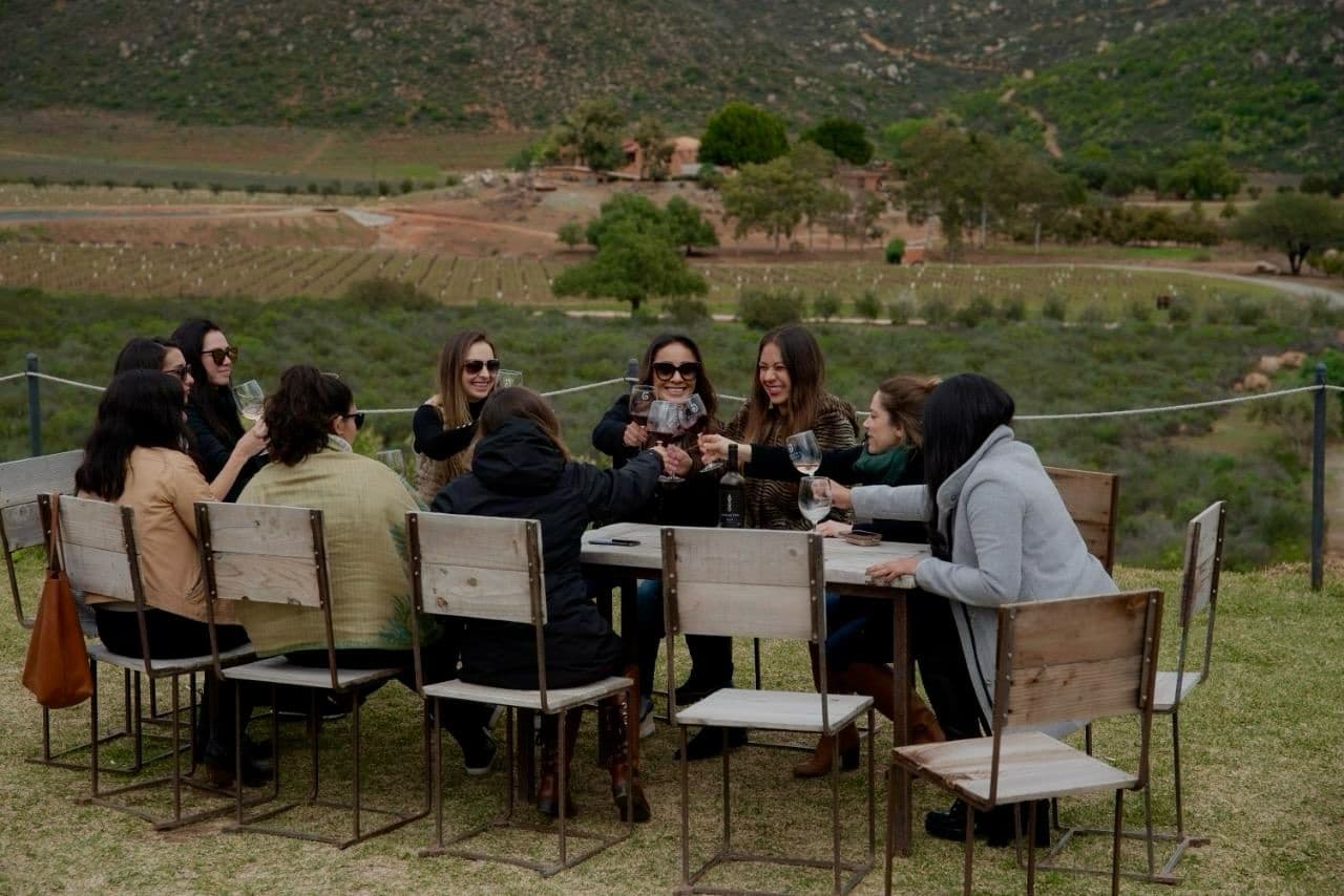 Outdoor vineyard group tasting wine at picnic table overlooking vines