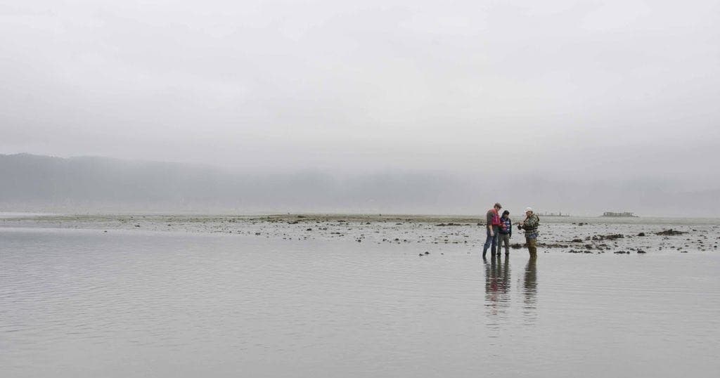 People exploring tidal flats in Humboldt Bay, shallow water wading