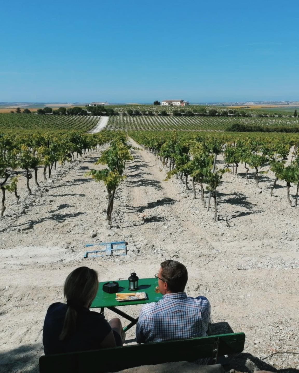 Sherry Tasting & Vineyard Morning with Farm Experiences & Tours