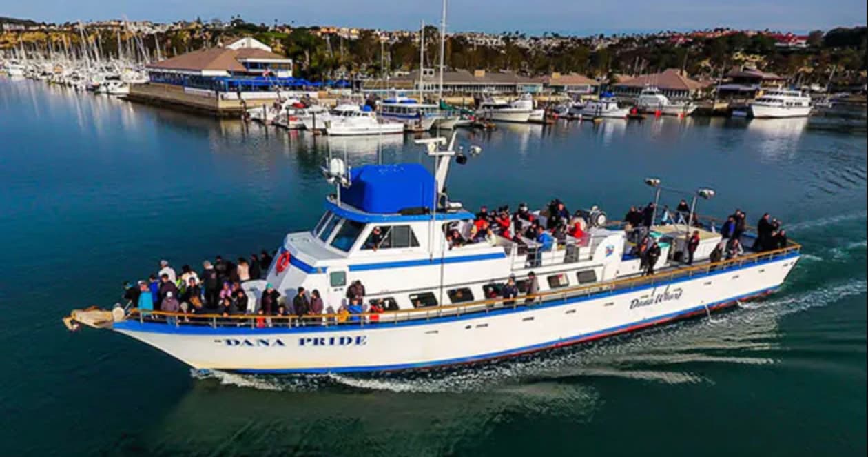 Father's Day Dinner Cruise in Dana Point, California