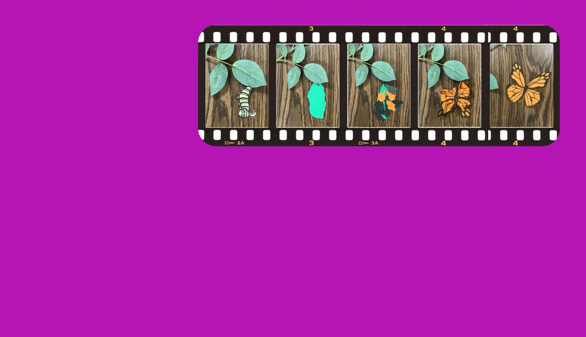 Schools Out Camp: Stop-Motion Animation — One-Day Filmmaking Workshop in Midland, MI photo 2