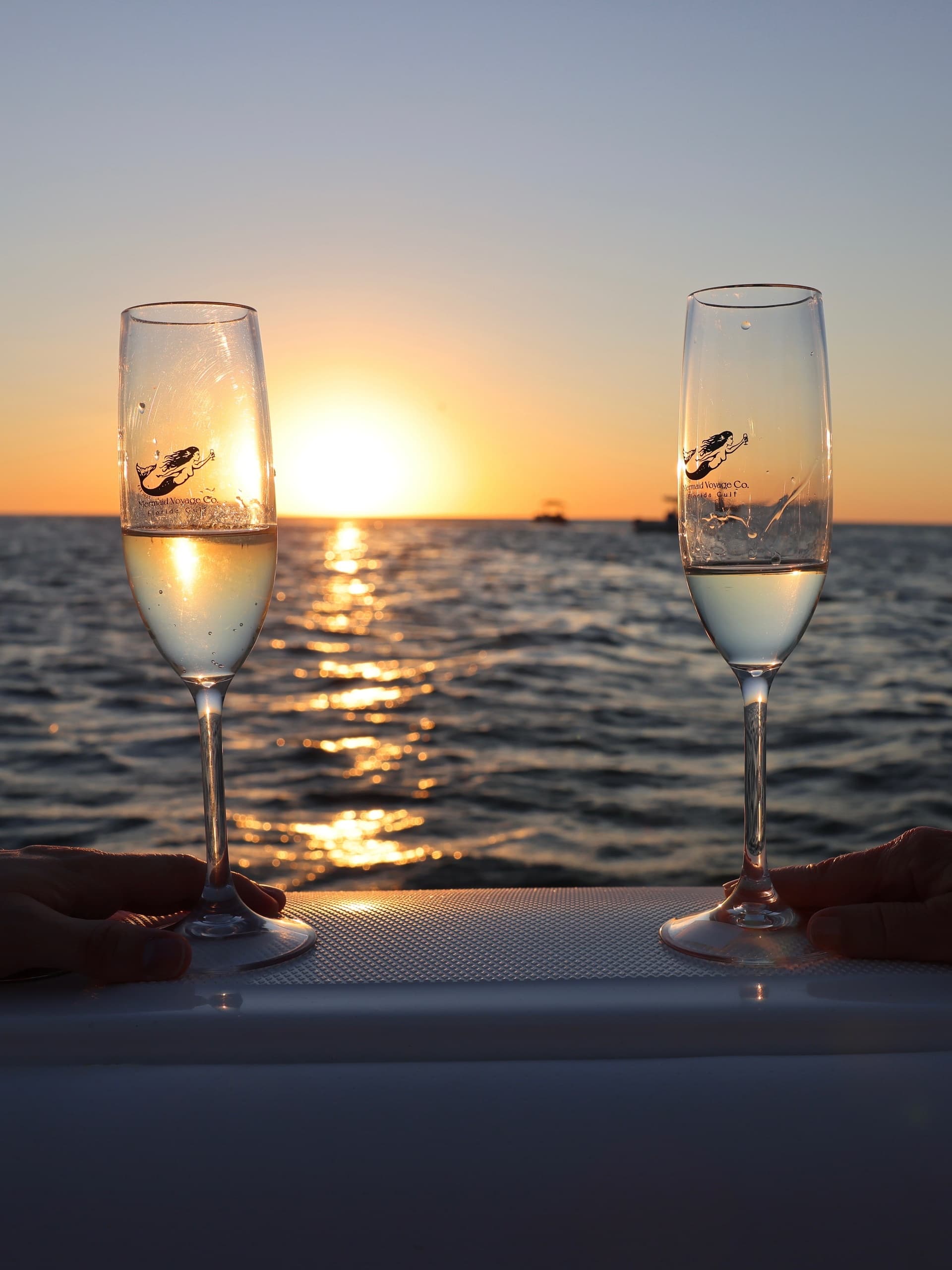 Private Sunset Charter on Anna Maria Island — Dolphin-Spotting Gulf Cruise