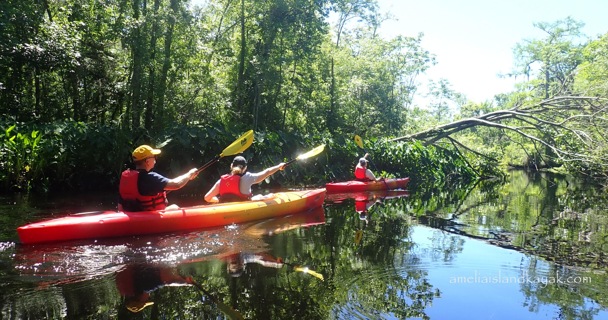 Paddle the Blackwater of Lofton Creek in Florida