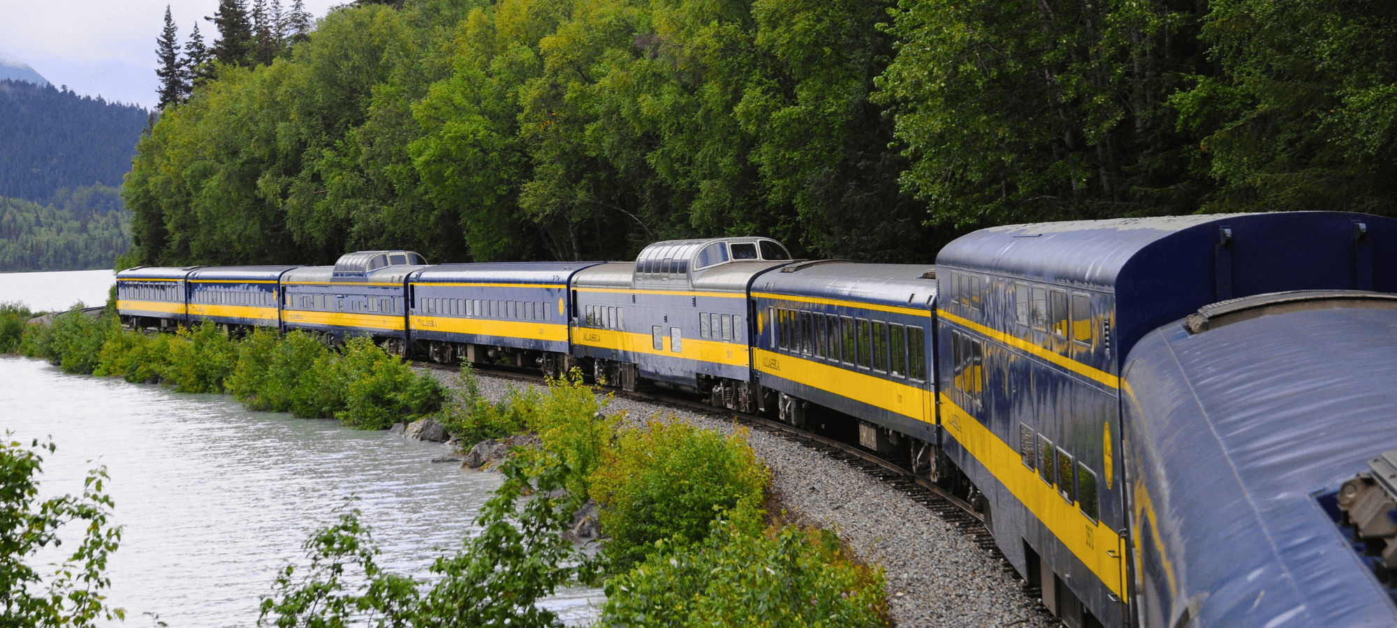 Train-to-Lodge Shuttle: Denali Depot to Grizzly Bear Resort photo 2