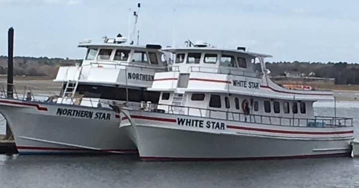 Whale Watching Adventure in Hampton, New Hampshire