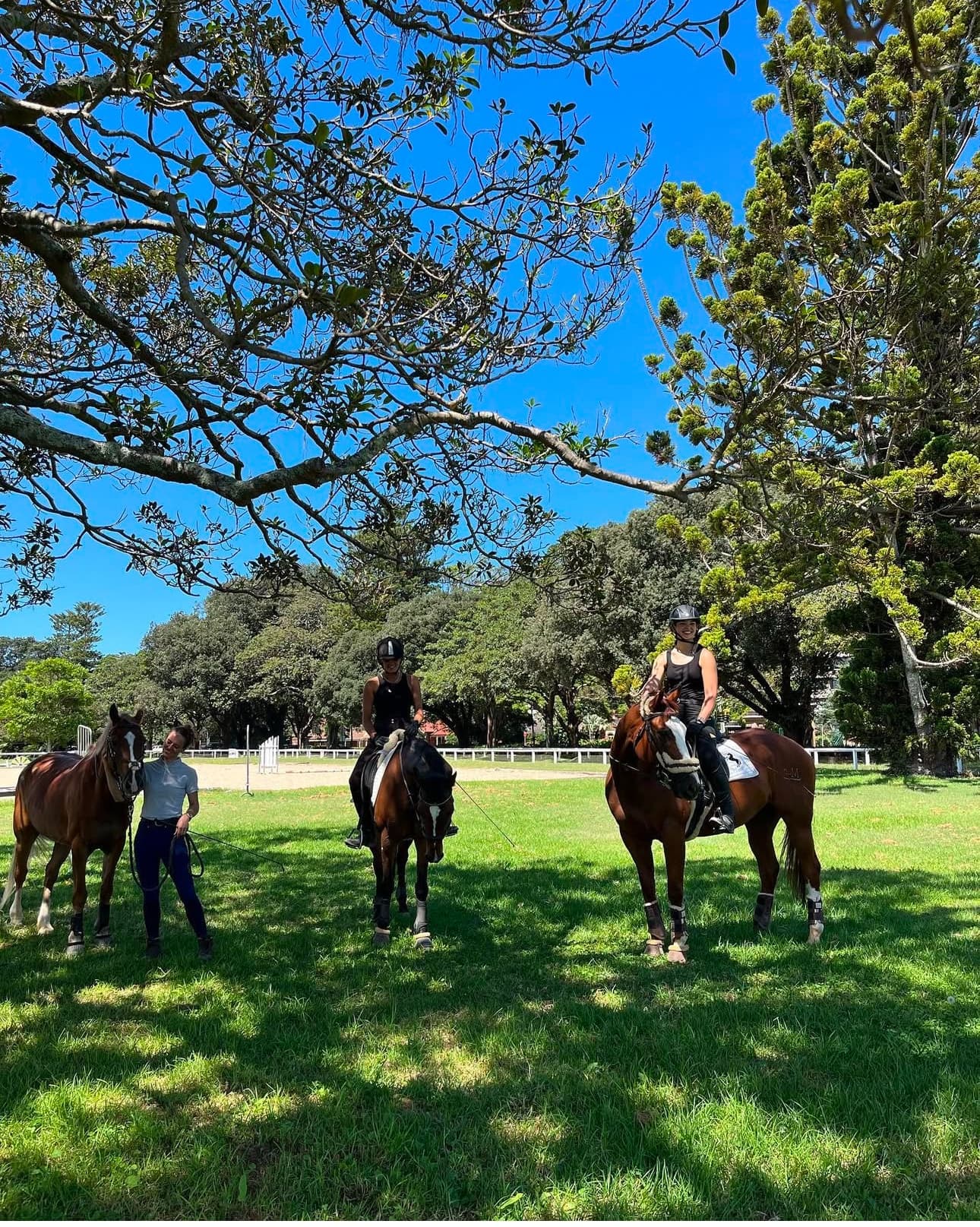 Horseback Park Rides with Papillon Riding Stables in Sydney