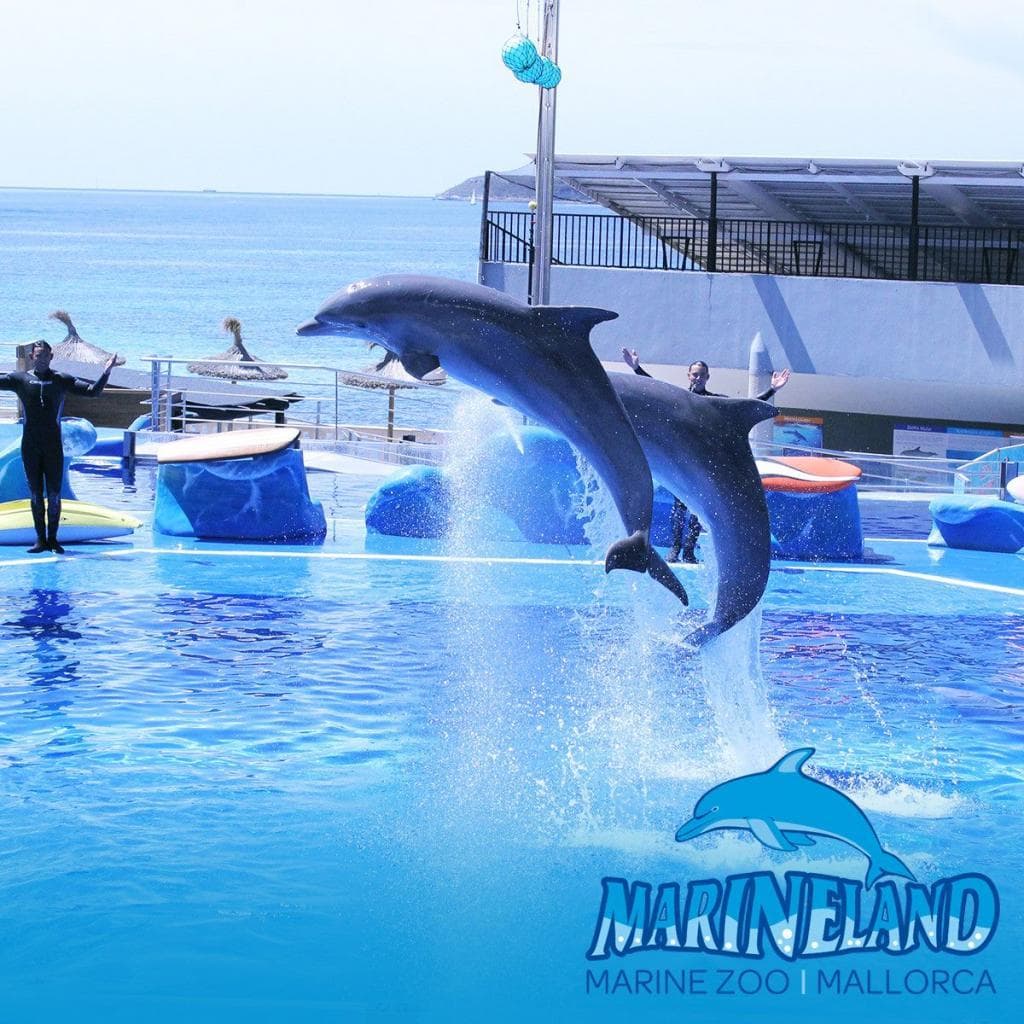 Water Activities at Entradas Marineland Mallorca