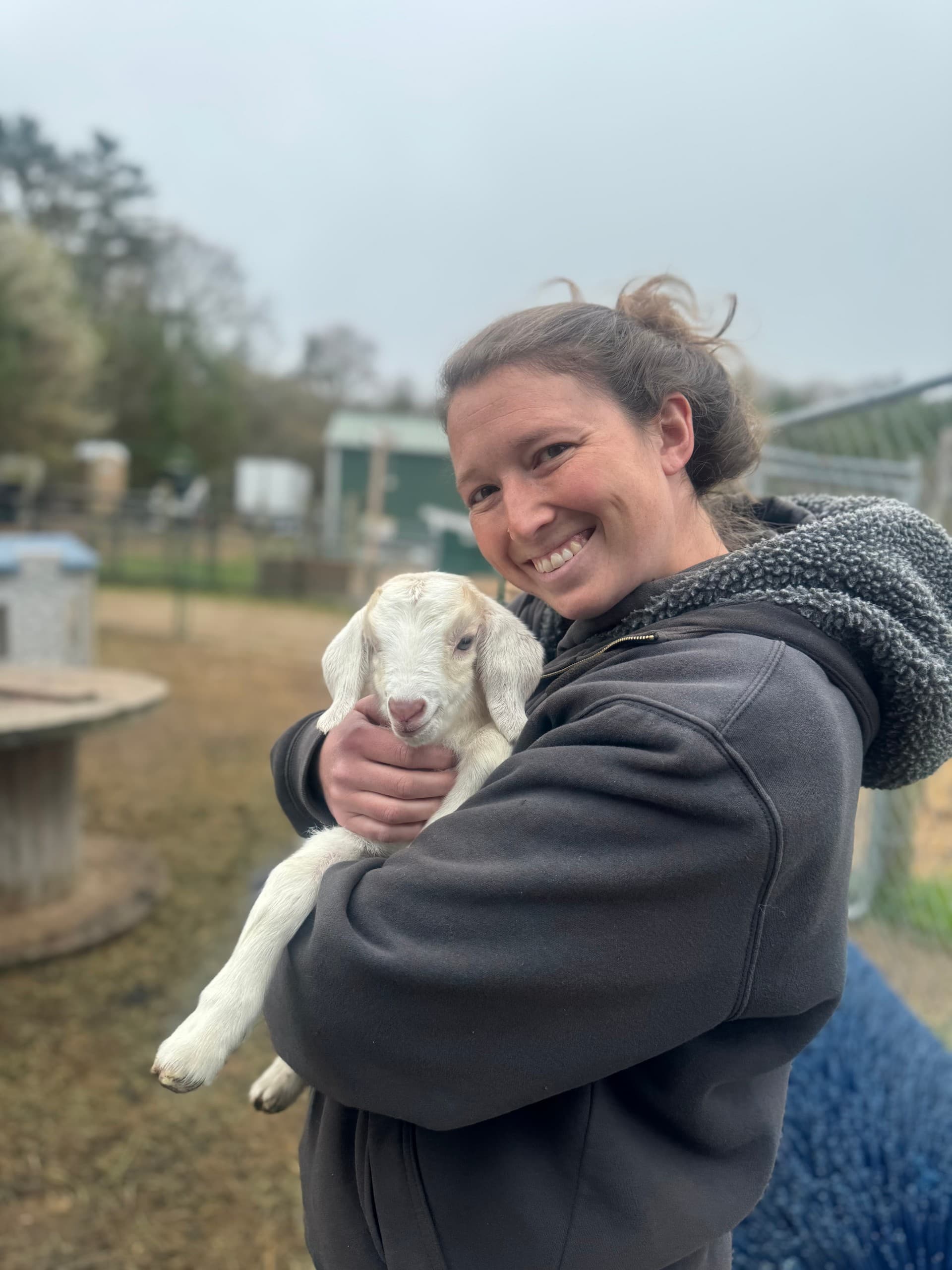 30-Minute Goat Hangouts at pinemeadowfarms: Hands-On Farm Time in Mattapoisett