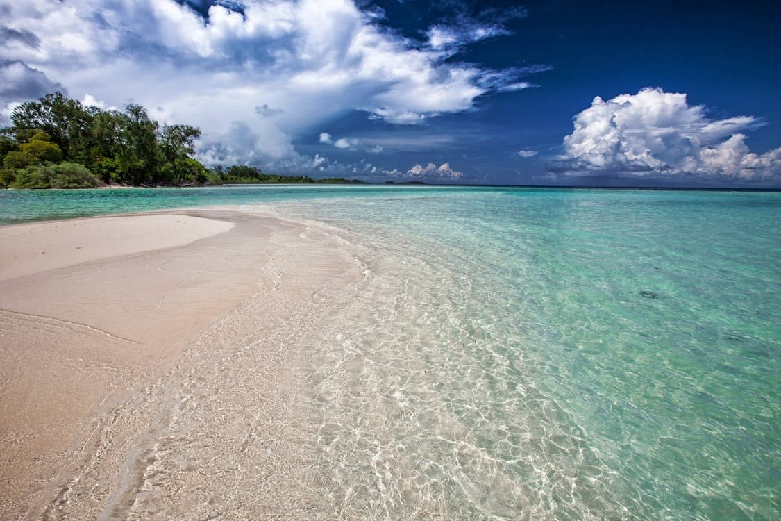Three Hour Water Rentals in St. Petersburg, Florida