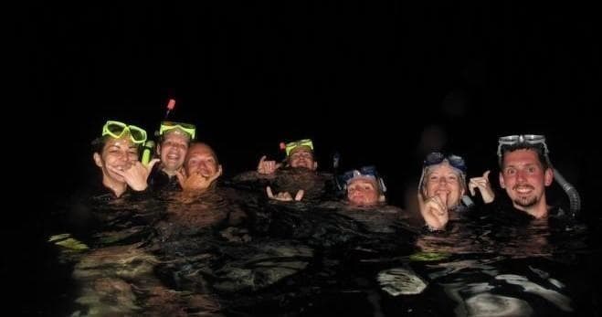 Night Manta Ray Snorkel Tour in Kailua-Kona