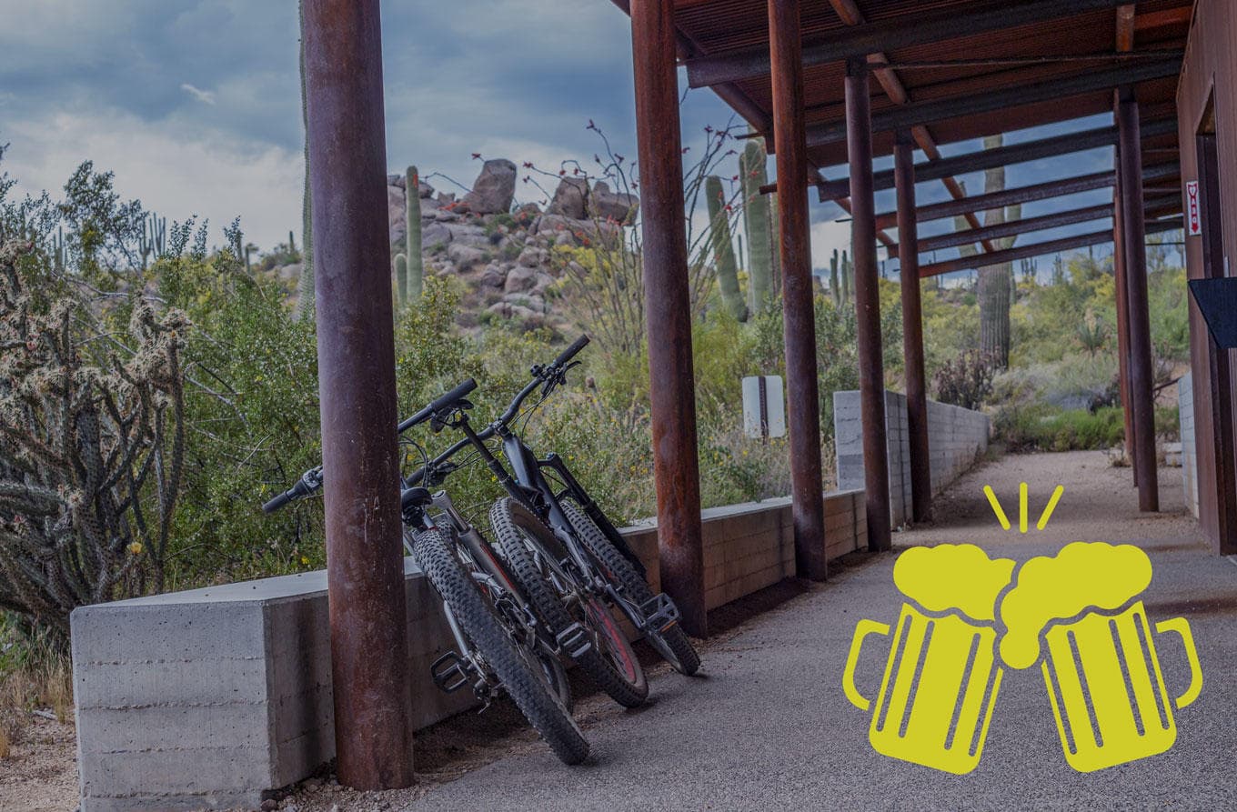 Mountain Biking Tours in Scottsdale McDowell Sonoran Preserve
