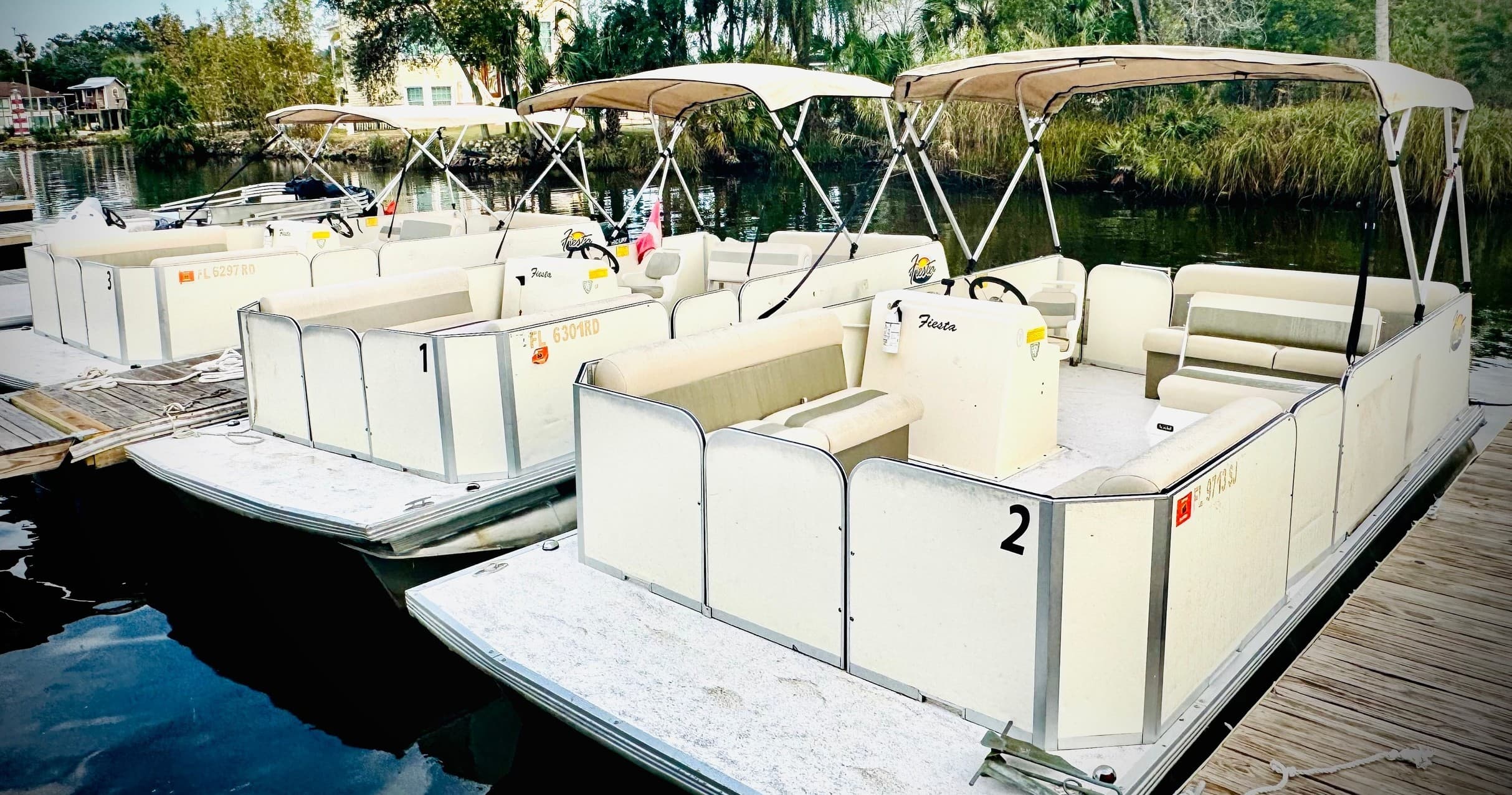 Water Activities & Homosassa: Half Day Pontoon Rental at Monkey Island Riverside Resort