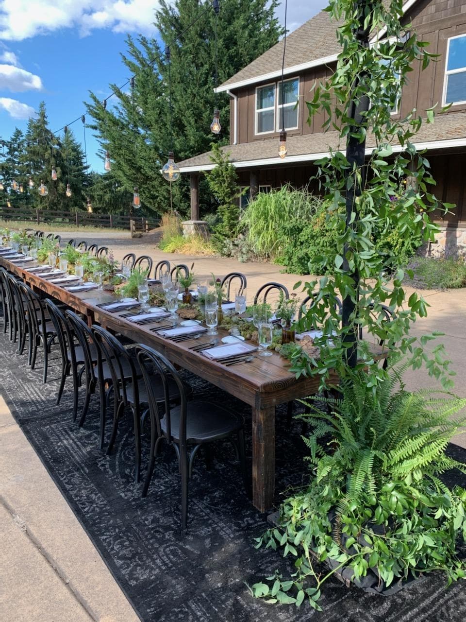 Land Adventures: Pinot Car Wine Tours in Willamette Valley