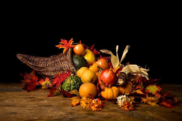 Celebrate Thanksgiving on a Scenic Luncheon Cruise in Perth Amboy, NJ