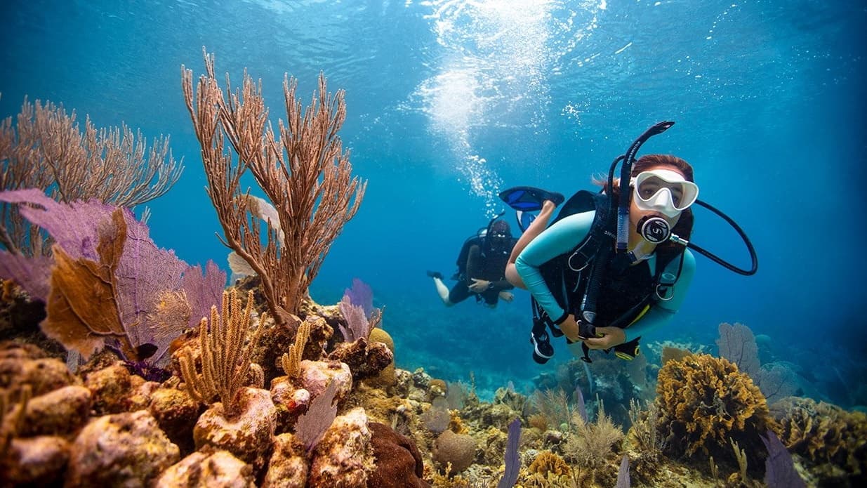 Wreck Diving Adventures with Hawaii Dive Center in Honolulu