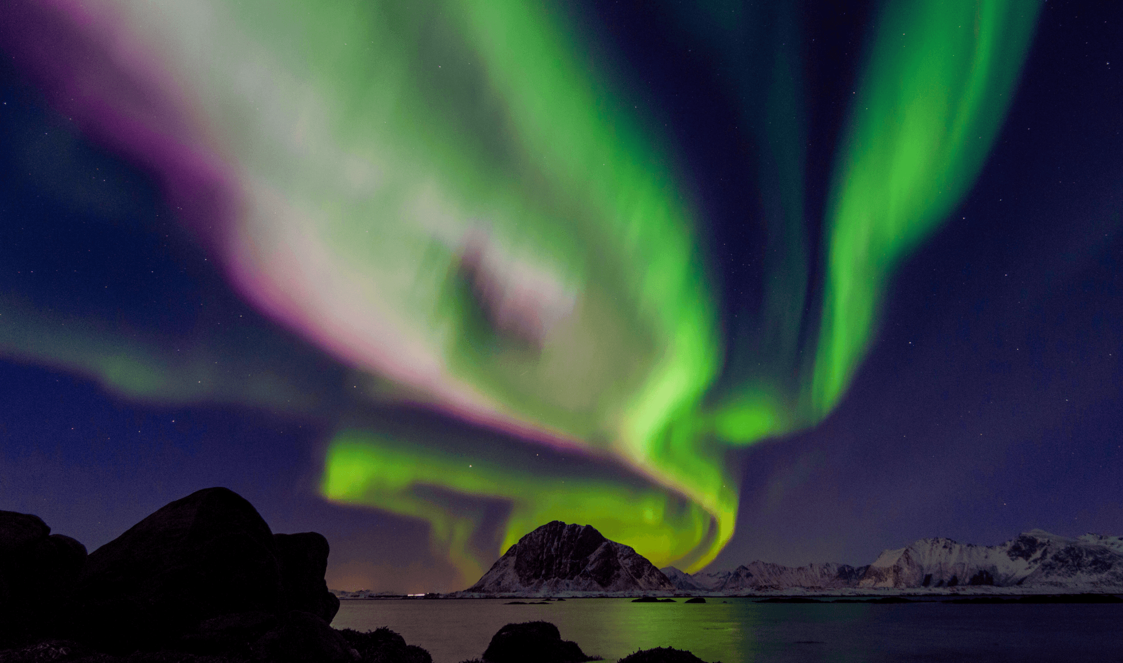 Northern Lights Tours with Hooked on Lofoten photo 1