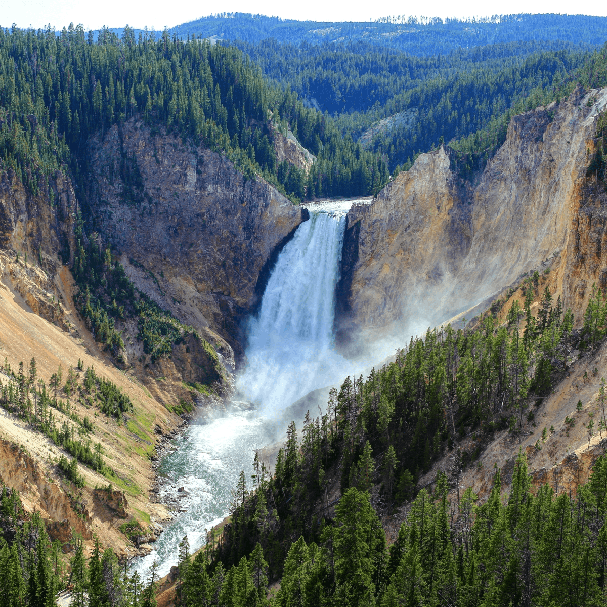 Majestic waterfall in Yellowstone Canyon framed by forested cliffs