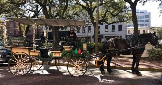 Discover Savannah’s Charm: A Scenic 45-Minute Carriage Public Tour