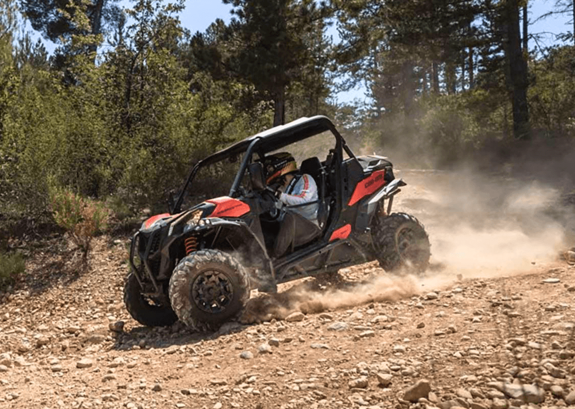 Half Day UTV Rental Adventure in Island Park, Idaho