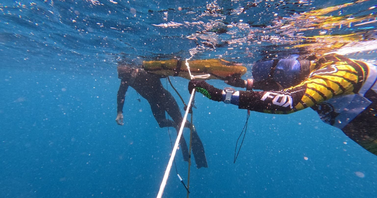 Freedivers underwater gripping guide line near ocean surface during descent