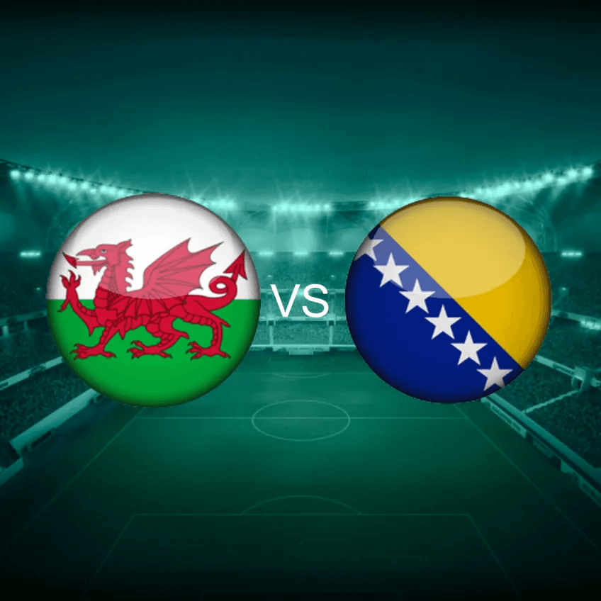 Wales vs Bosnia World Cup Qualifier — Coach Day Trip from Machynlleth