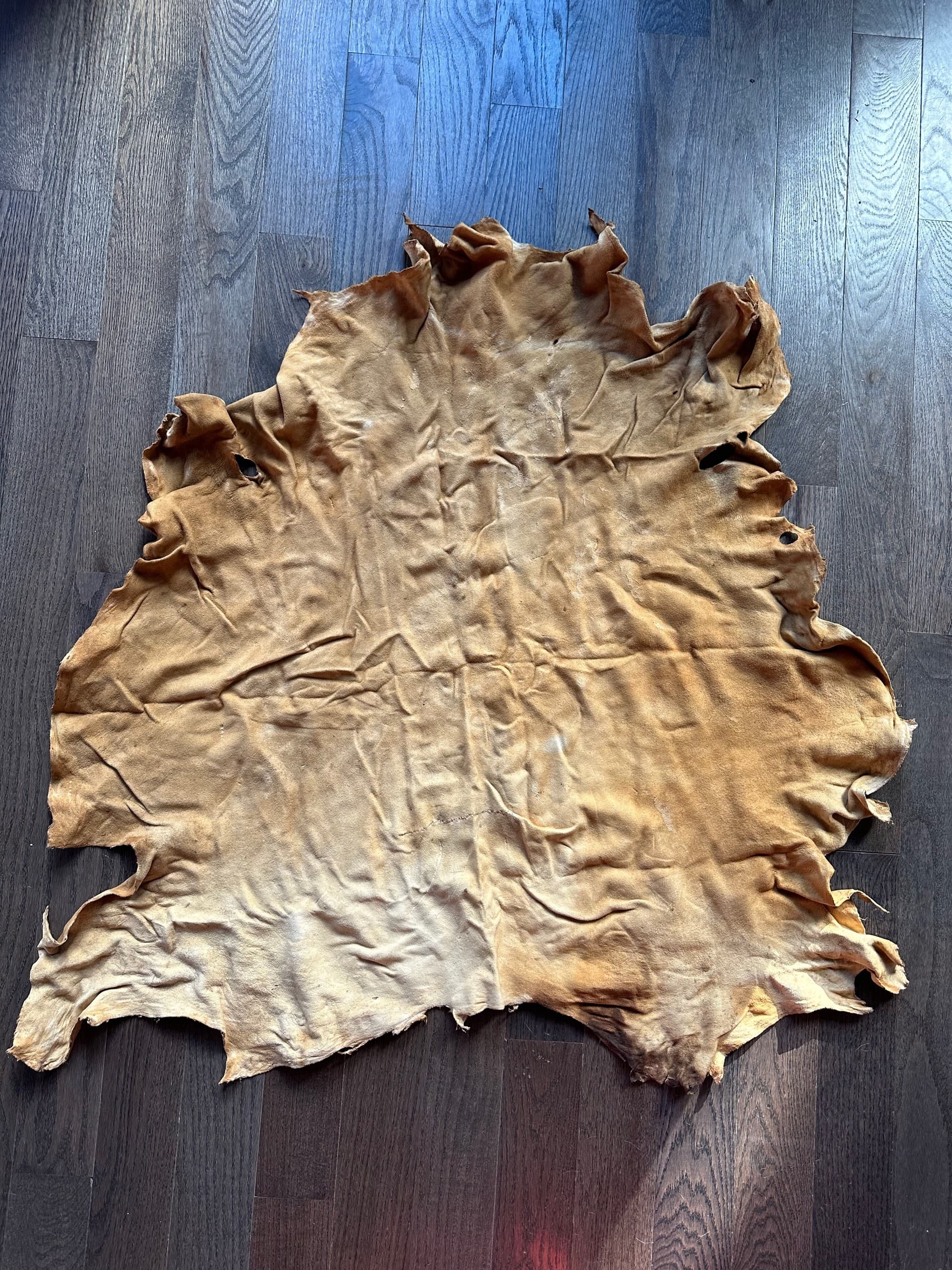 Learn Buckskin Braintanning: Hands-On Traditional Workshop in Kremmling, Colorado