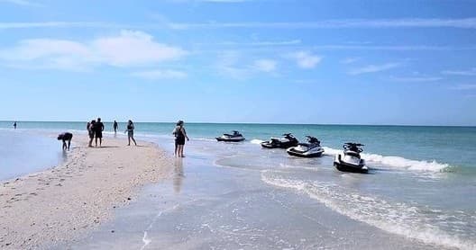 Venice Sandbar Cruise and Jet Ski: 4-Hour Tritoon Adventure
