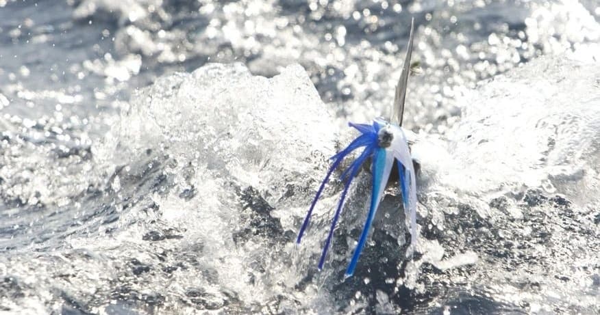 Sportfishing billfish leaping from choppy open ocean waters