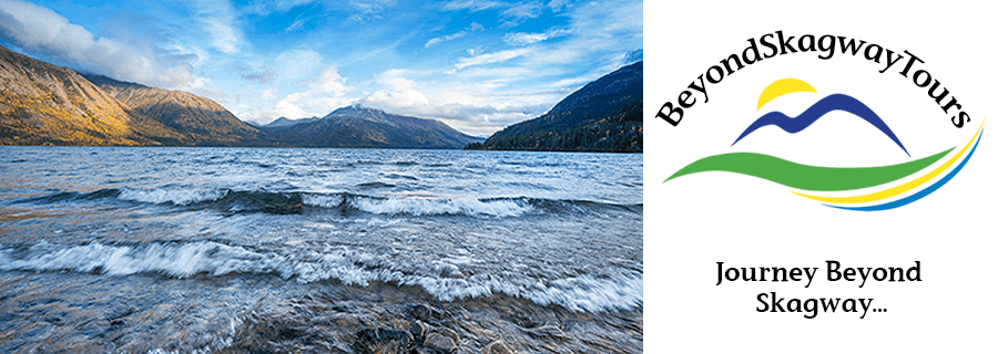 Rugged shoreline with waves and distant alpine mountains