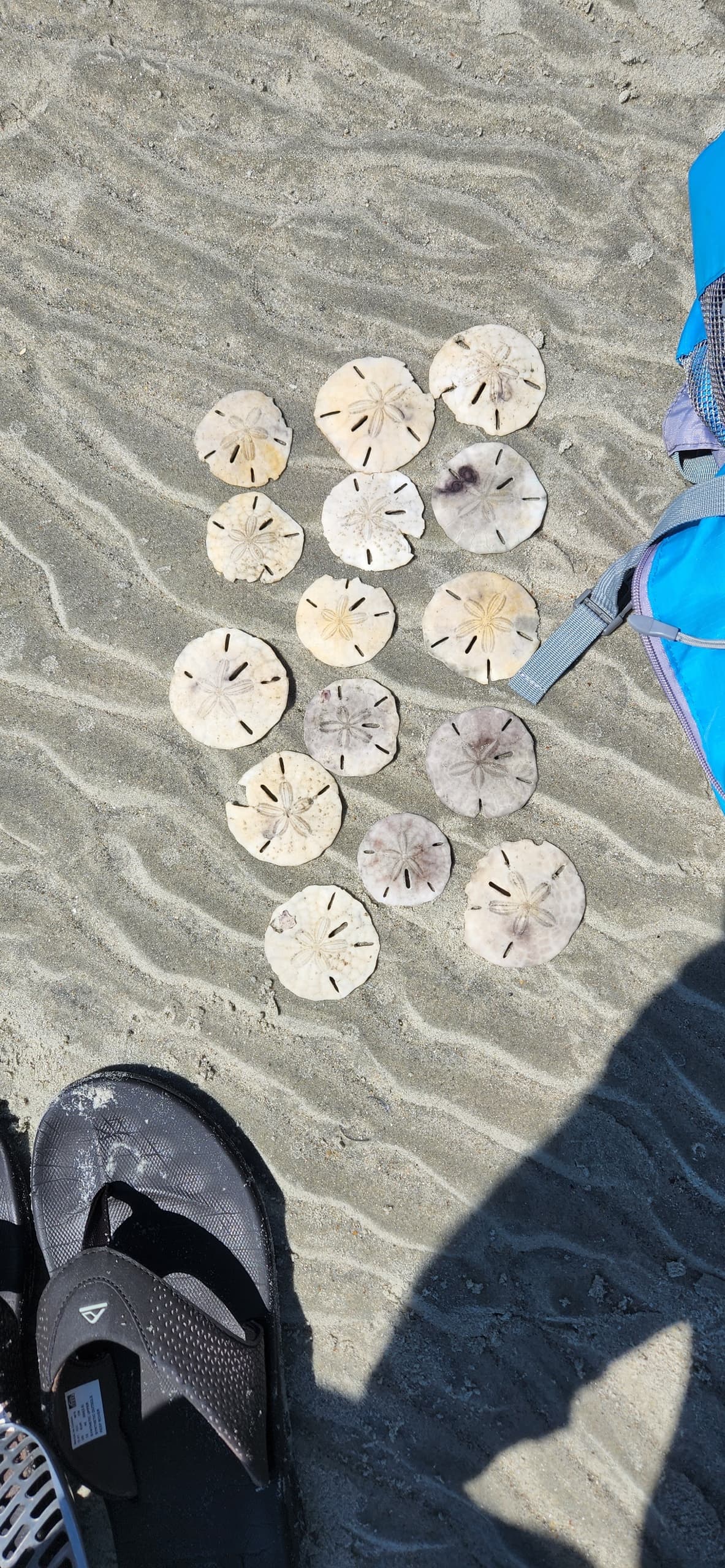 Outdoor Adventure with H2O Captain Eco-Tours: 3-Island Day Trip from Morehead City