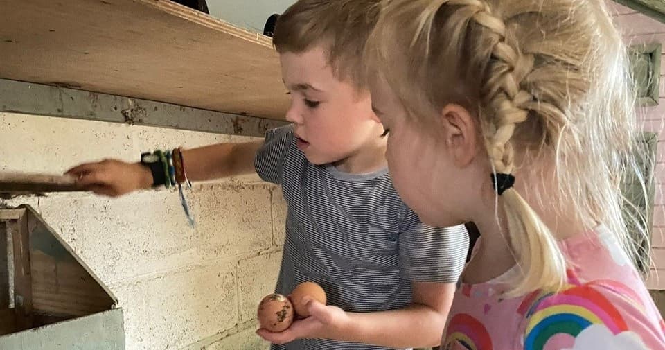 Outdoor Kids' Adventure at Frampton Organic Farm Ltd