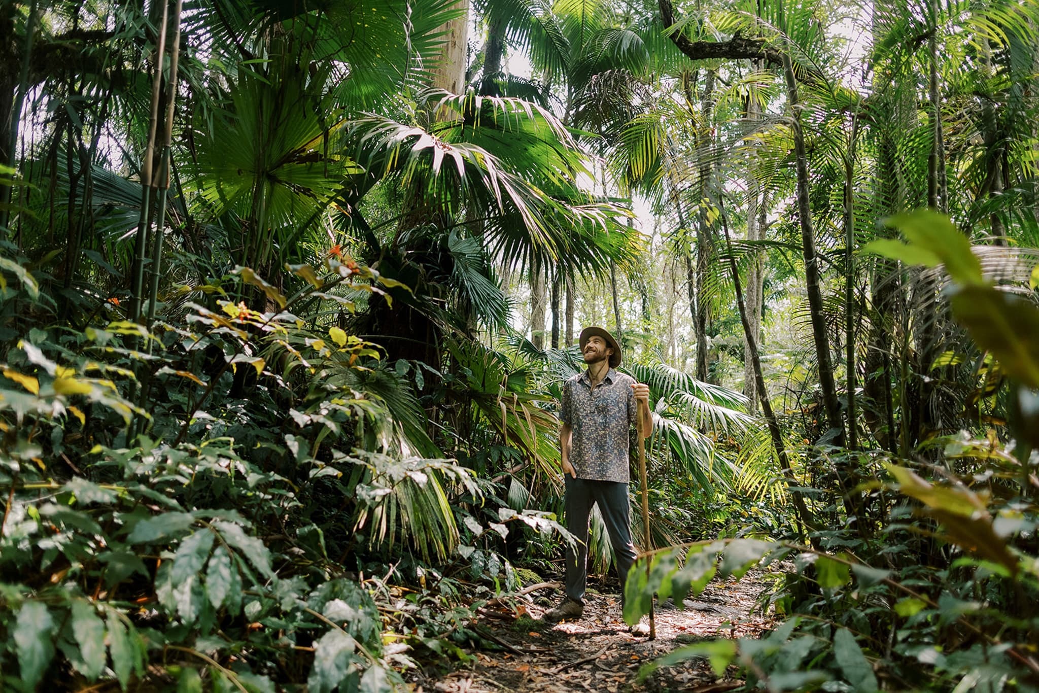 Forest Bathing in Kona’s Cloud Forest: A Free Guided Mindfulness Journey photo 2