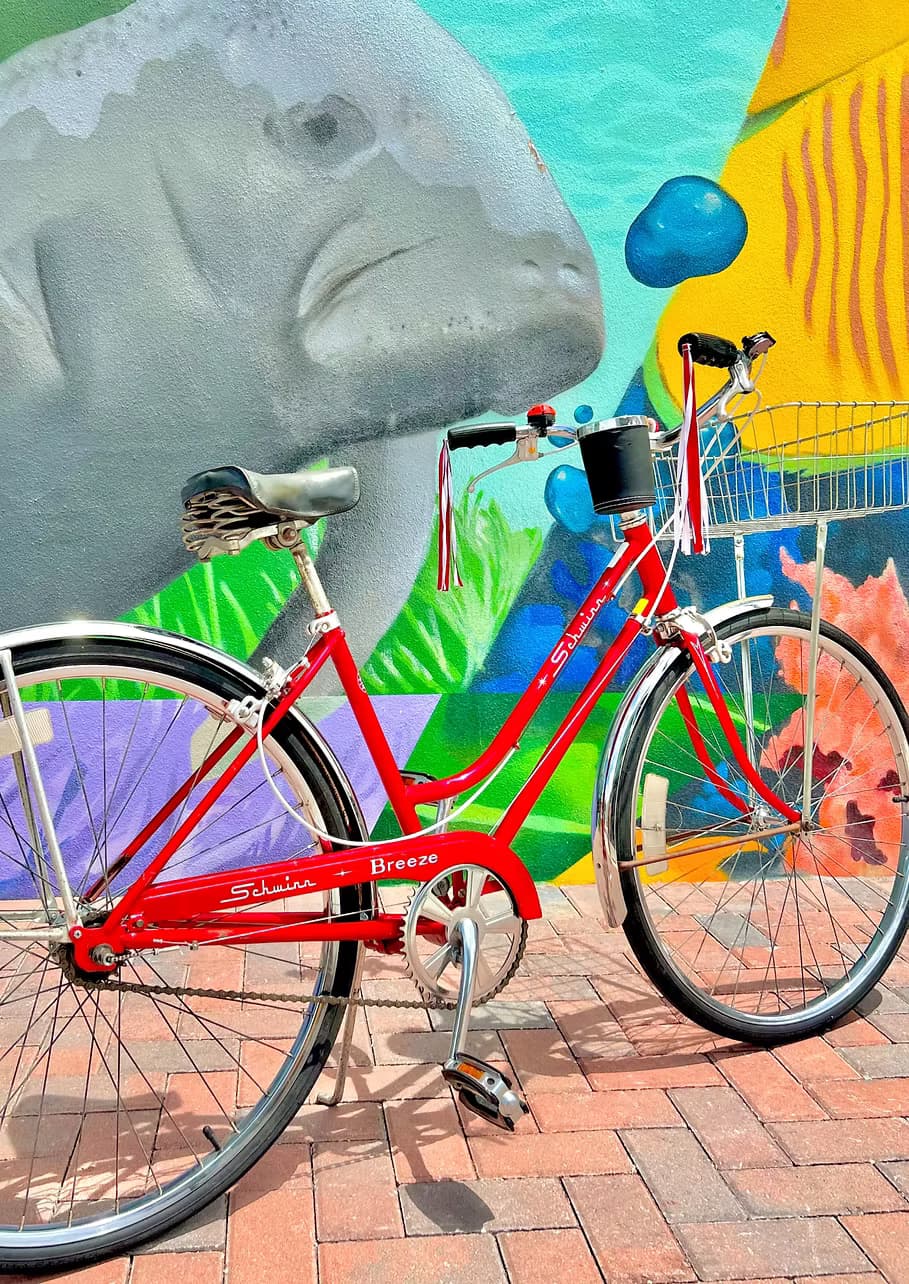 Cruise Delray Beach with Seaside Bicycle Rentals' Schwinn Breeze