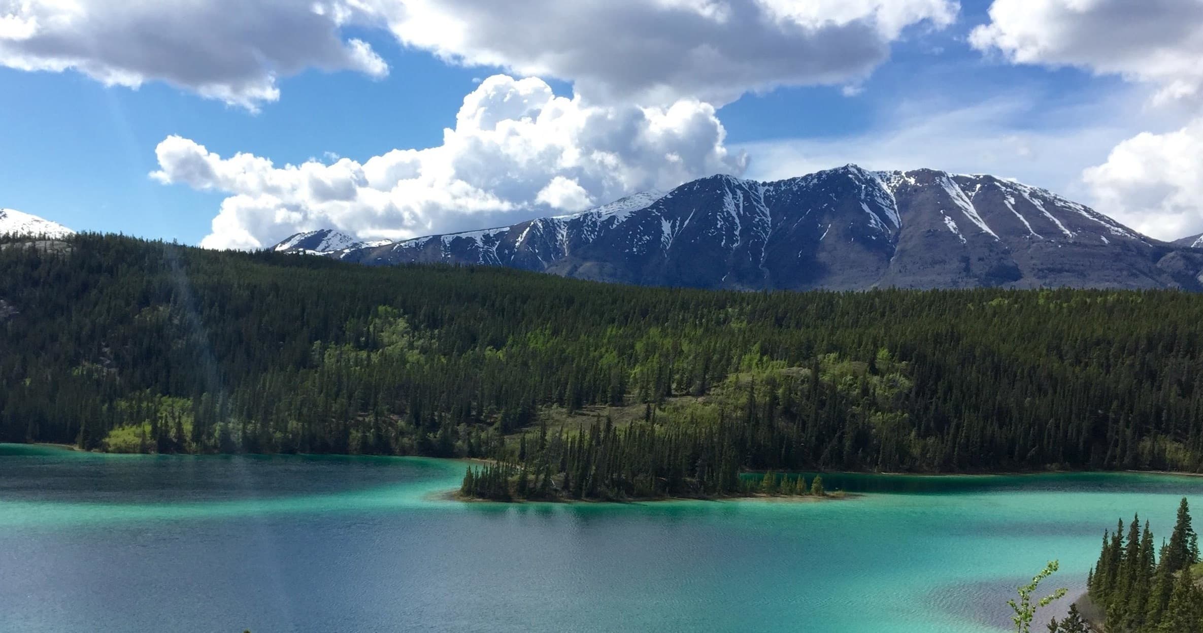 Yukon Discovery Tour with Southeast Tours in Skagway
