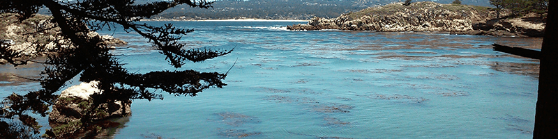 Scuba & Snorkel at Point Lobos with Central Coast Scuba