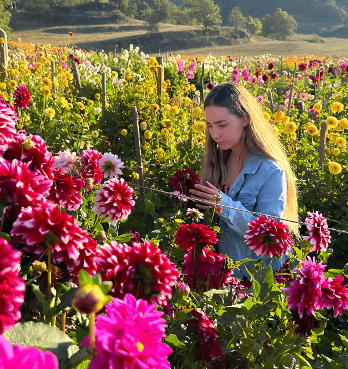 Botanical Garden Tour at Niudalia Events