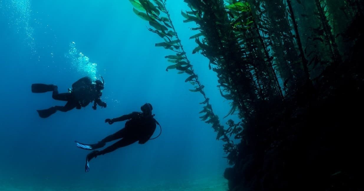 SDI Deep Diving Course in Monterey, California