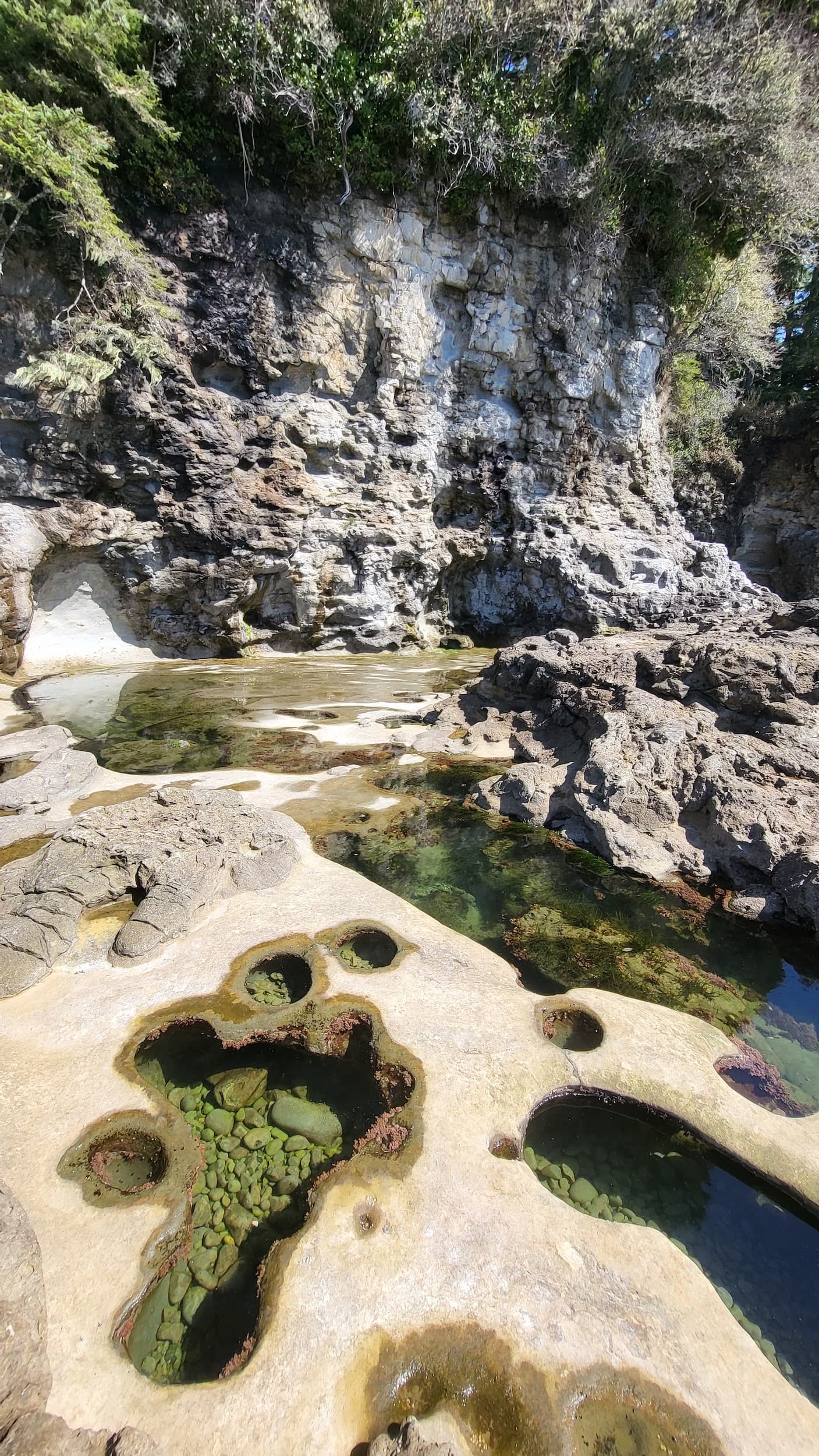 Victoria to Tofino Adventure with Tales on Trails