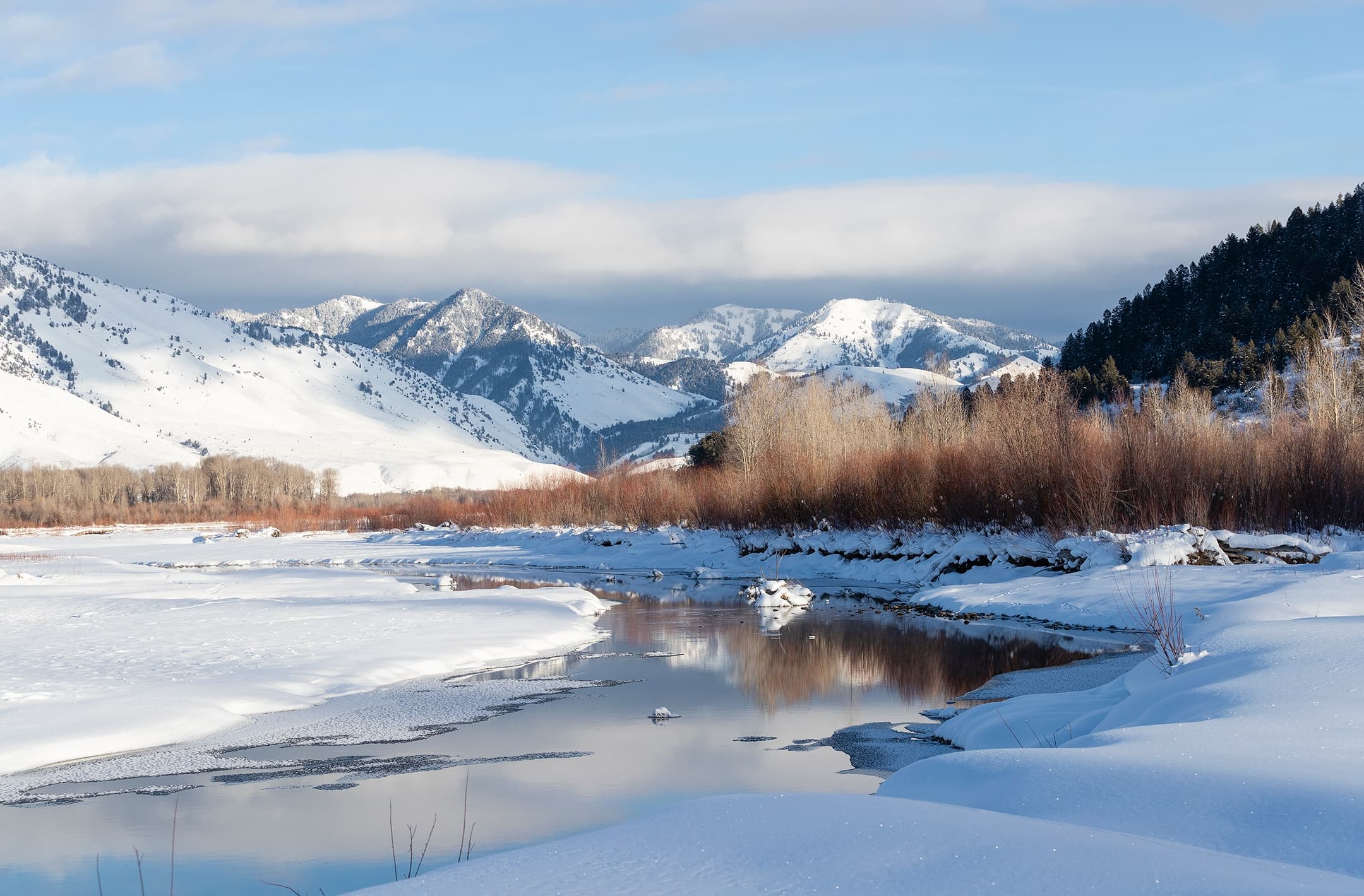 Explore Winter Wilderness: Guided Snowshoe Tour in Jackson Hole’s Private Ranch