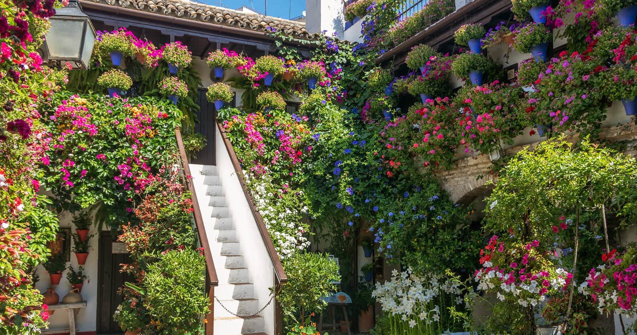 Patios de Córdoba Cultural Package by Artencordoba