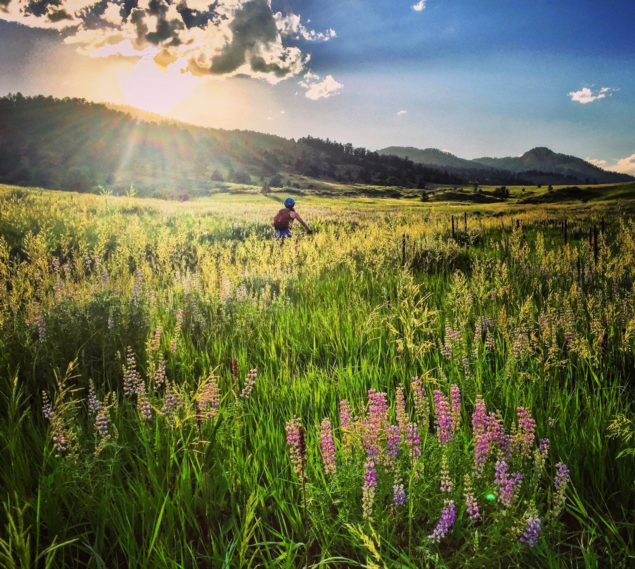 Solo rider crossing wildflower meadow under low sunlit hills