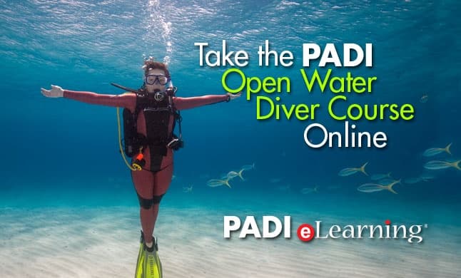 PADI Open Water Diver Course with Espiritu De Buceo in Tenerife