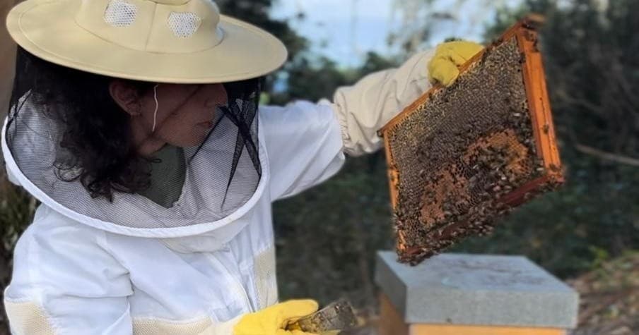 Azores Beekeeping Experience | Guided Tour in Água de Pau | Food Tour, Attraction, Farm