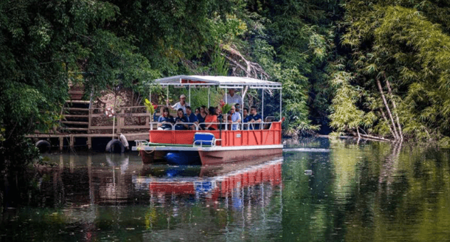 Riverboat eco tour cruising calm tropical jungle river
