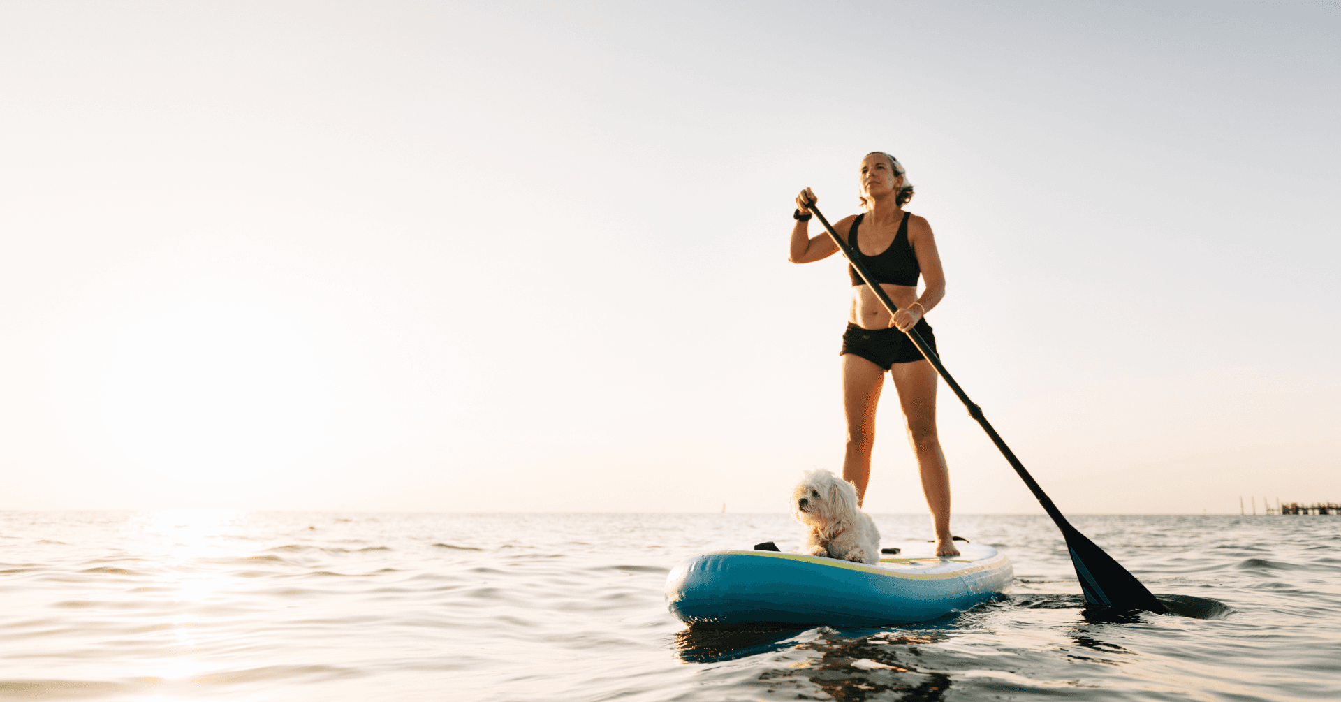 Barks and Boards: Sunset Paddle with Your Dog in San Diego